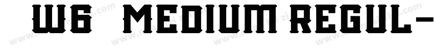 信黑 W6 简 Medium Regul字体转换